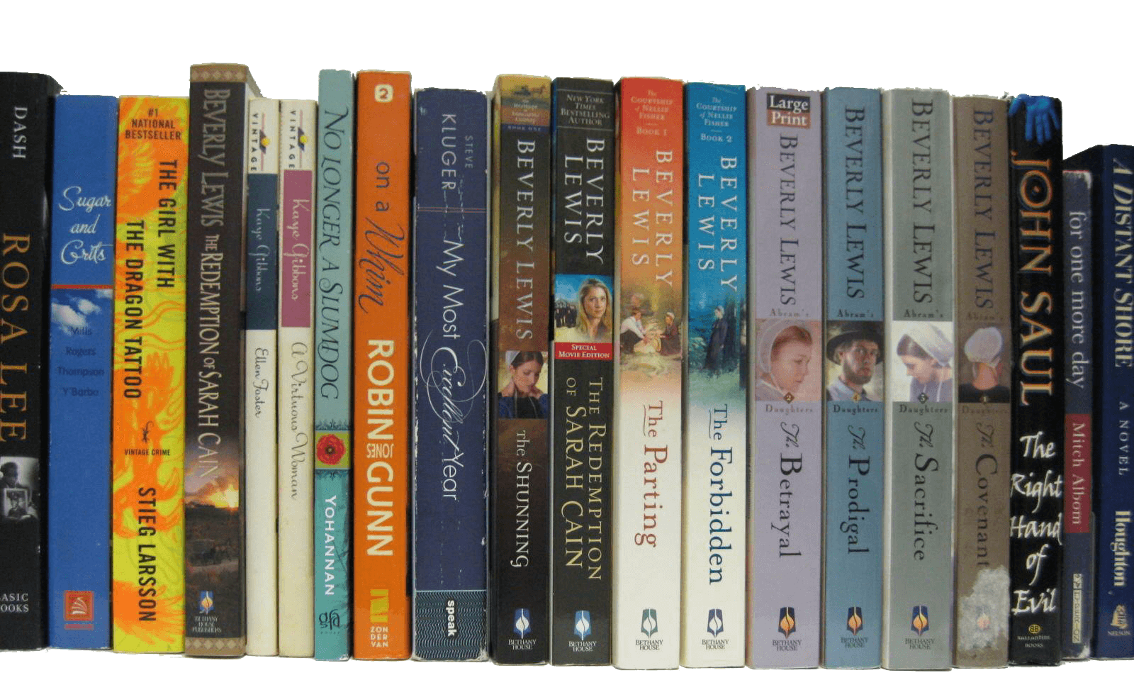 Row of colorful book spines standing upright on a shelf in a bookstore or library, showing a mix of hardbacks and paperbacks with varied titles and colors.